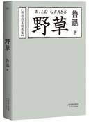 说明: IMG_256